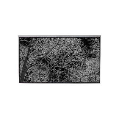 अच्छी कीमत 6टच स्क्रीन के साथ मोबाइल फोन के लिए.2 इंच TA062VGHX01 एलसीडी डिस्प्ले मॉनिटर ऑनलाइन