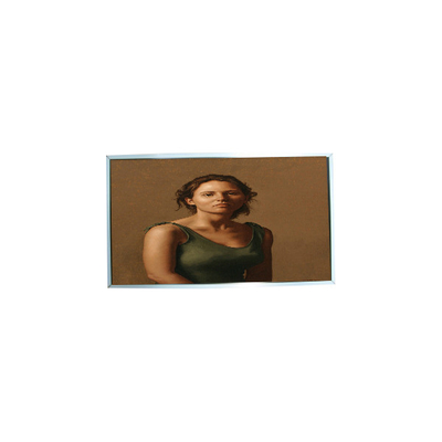 अच्छी कीमत 23.0 इंच एलसीडी पैनल मॉड्यूल LTM230HT12 डेस्कटॉप मॉनिटर के लिए उपयुक्त ऑनलाइन