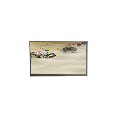 अच्छी कीमत P236MWF2 R0 23.6 इंच 1920*1080 TFT-LCD स्क्रीन डिस्प्ले ऑनलाइन